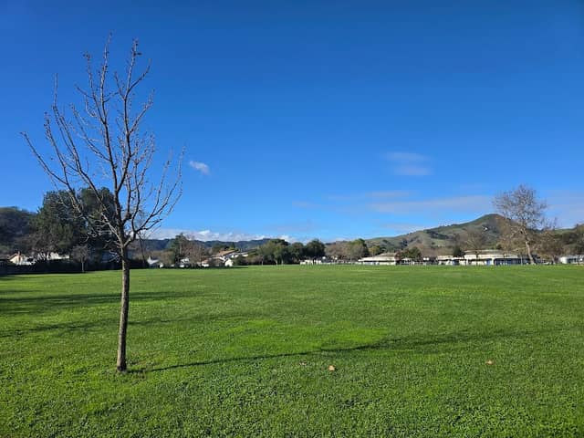 Paradise Park - Image 1