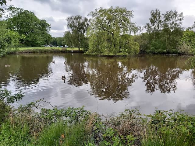 Pirbright Village Green - Image 1