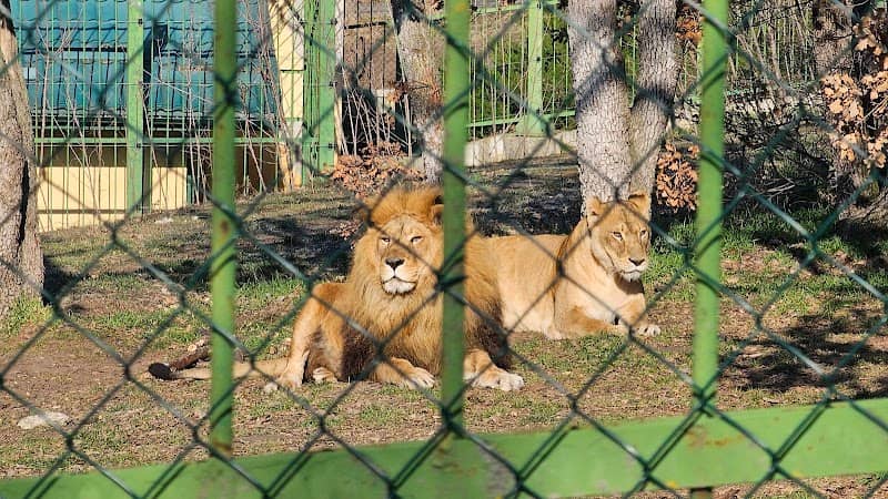 Park ZOO - Image 1