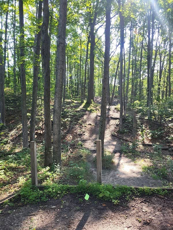 Kiwanis Park - Image 2