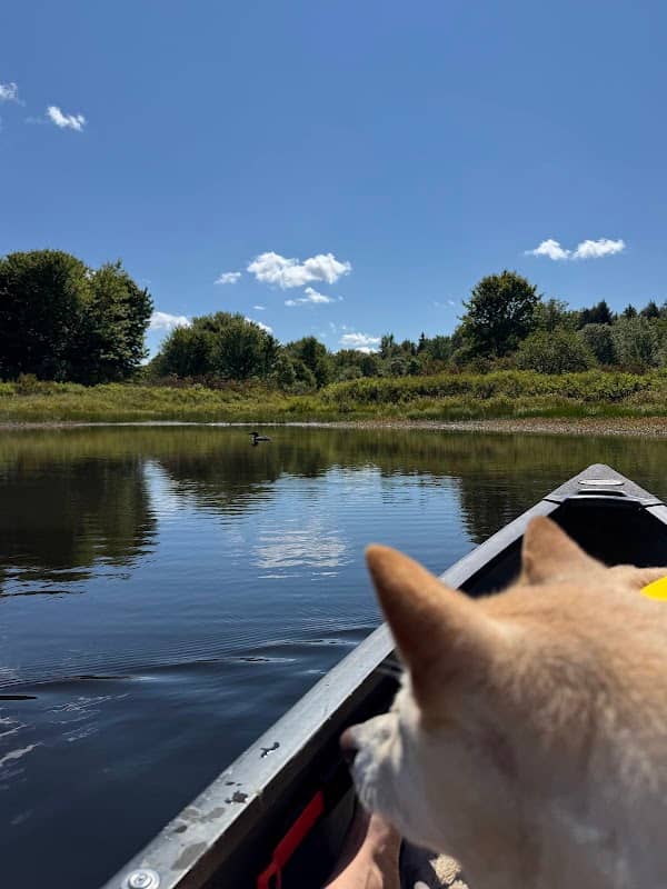 Chesterville Wildlife Management Area - Image 2