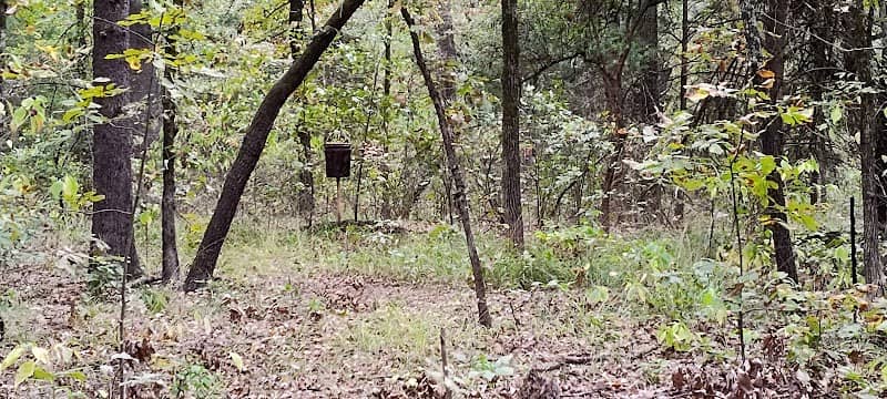Pat Mayse Lake Recreation - Image 3