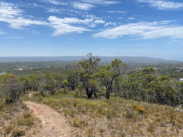Anglesea Heath - Image 1
