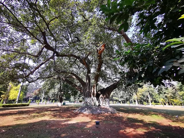 Baradari Park - Image 1