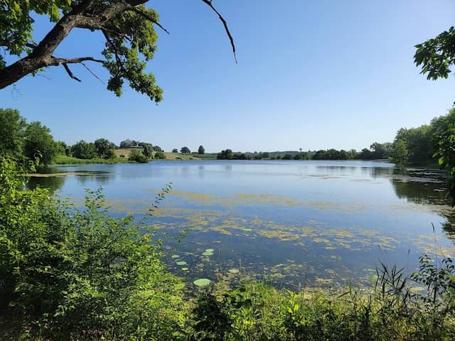 Rickett's Lake - Image 2