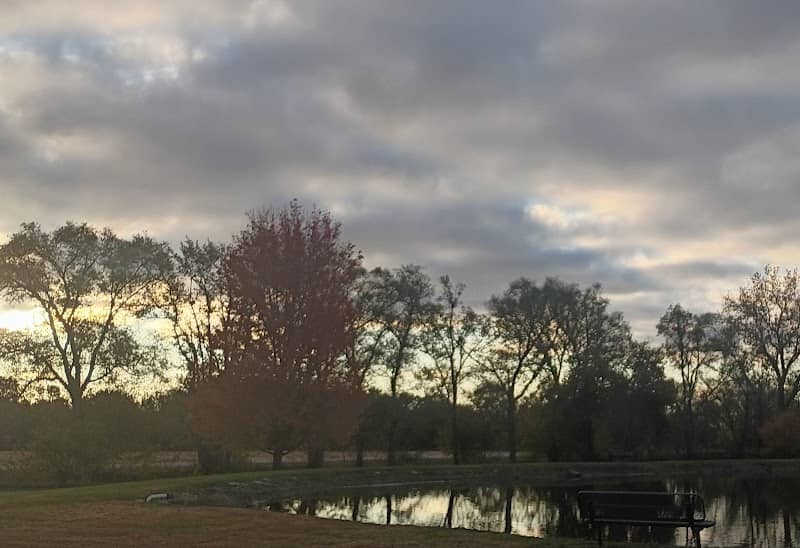 Pawnderosa City Pond & Campsite - Image 1