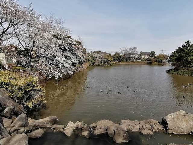Oike Water Park - Image 1