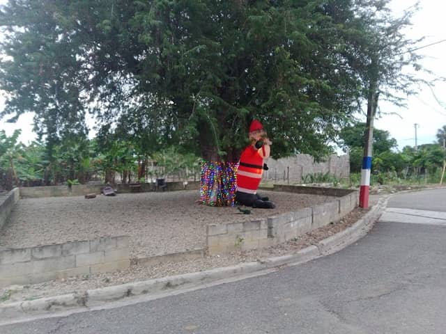 El Tamarindo - Image 1