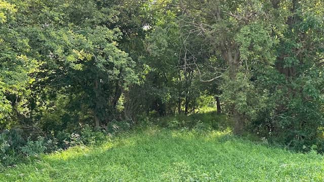 Cedar Wildlife Area - Image 2