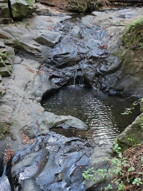 Cascade Park - Image 2