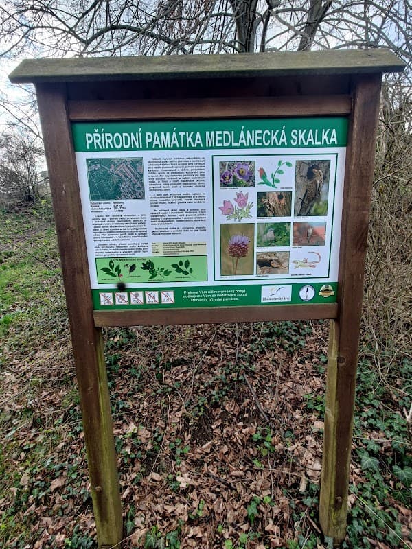 Medlánecká skalka
