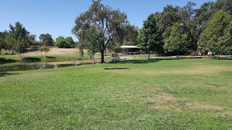 Ashford Park - Image 3