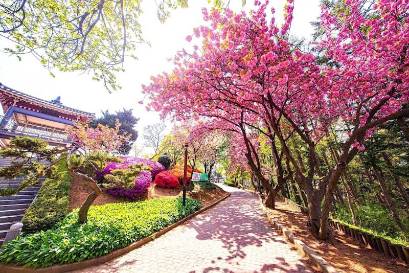 남산건강공원 - Image 1