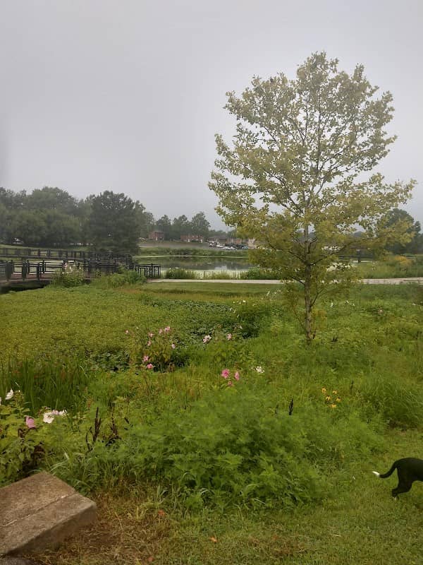 Gainesway Park - Image 2