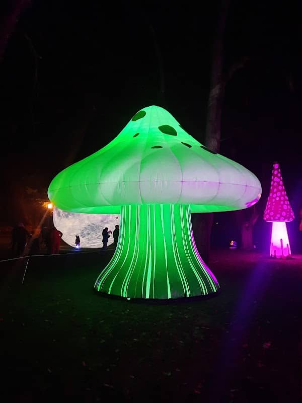 Bendigo Electric Wonderland Festival - Image 1