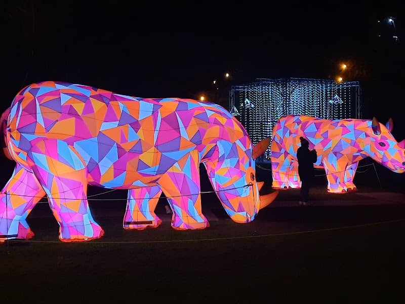 Bendigo Electric Wonderland Festival - Image 3