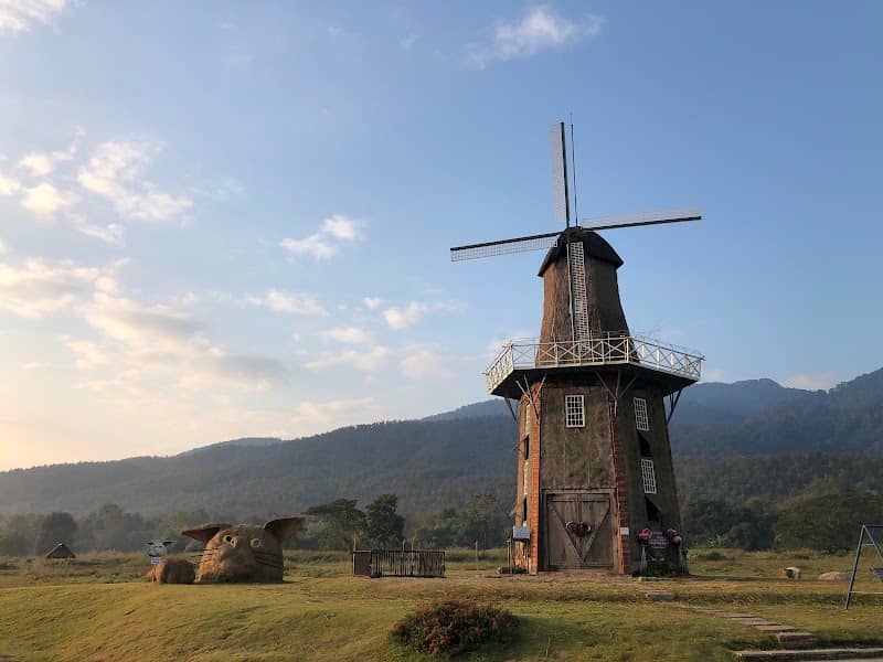 Huai Tueng Thao Sheep Farm - Image 1