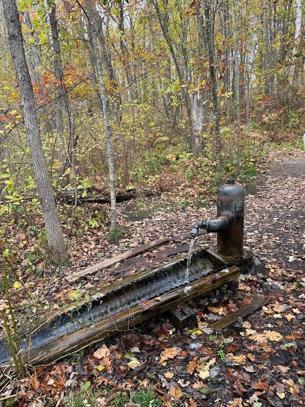 Artesian Well - Image 1