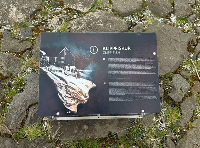 Vestmanna Cliff Fish - Image 2