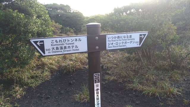Vegetation Regeneration Trail - Azalea Garden - Image 2