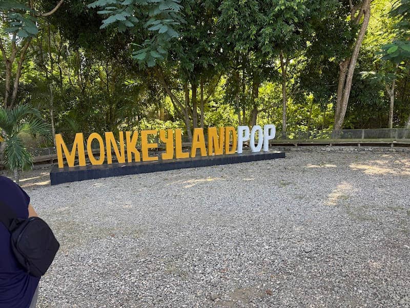 Monkey Island by Runners Adventures - Image 1