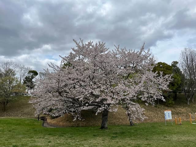 Tozakikinrin Park - Image 1