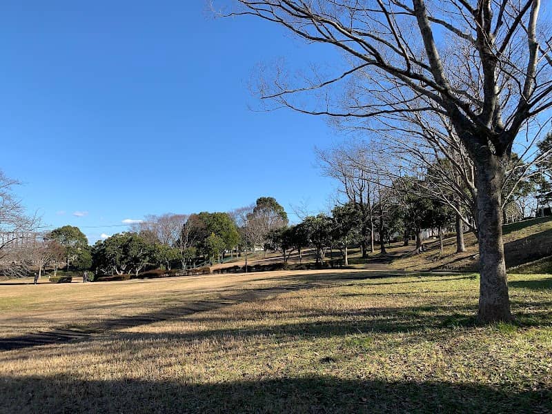 Tozakikinrin Park - Image 2