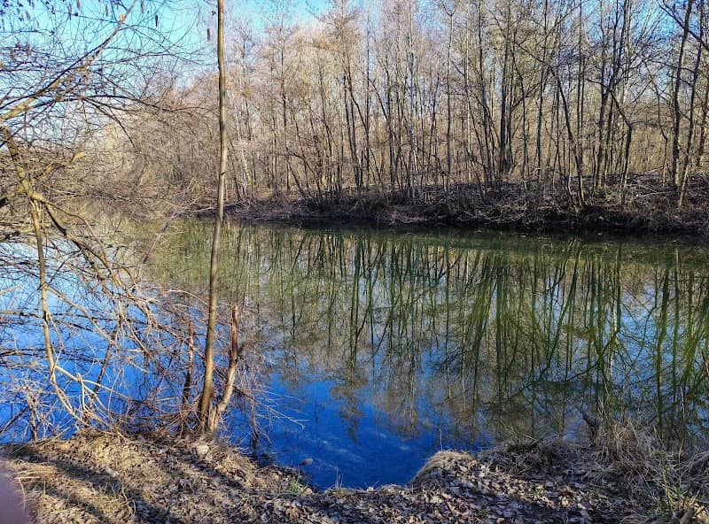 Rybník Diana - Image 2
