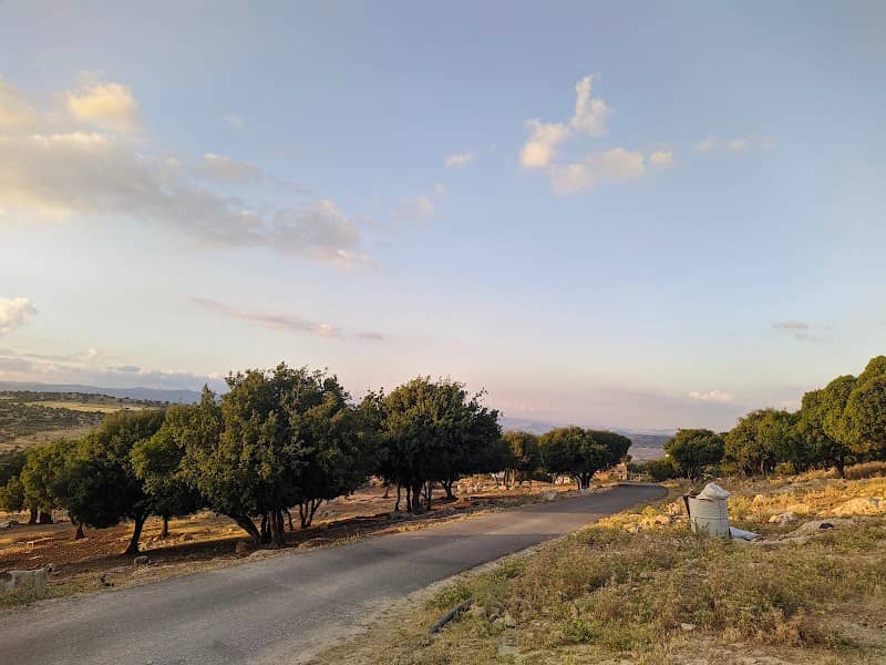 Ghassan Asfour Jalaad Farm - Image 1