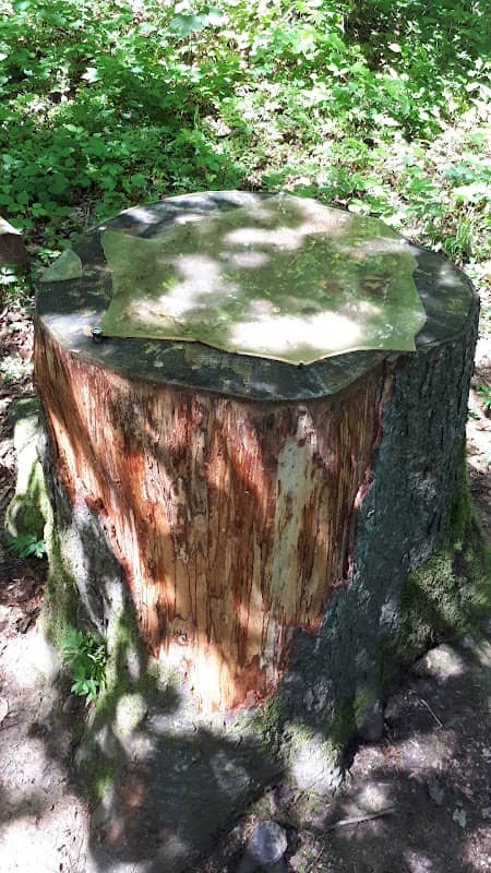 Waldlehrpfad - Baumalter bestimmen - Image 1
