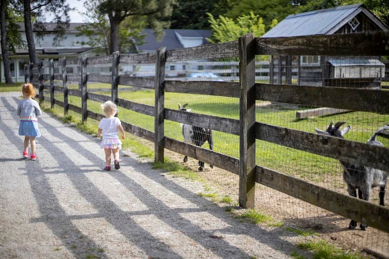 Bobby Lanier Farm Park - Image 2