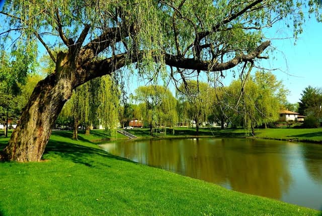 Lufkin Park - Image 2