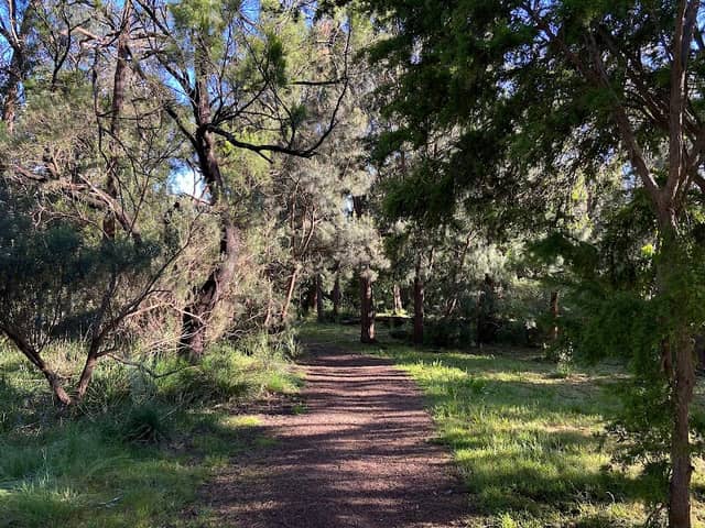 Alto Reserve - Image 1
