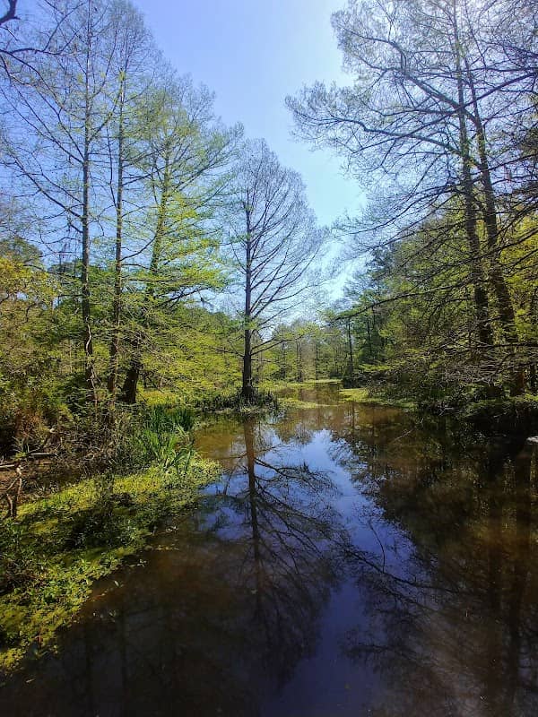 Northlake Nature Center - Image 2