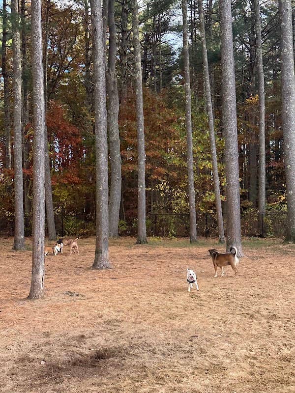 Longhill Dog Park - Image 1
