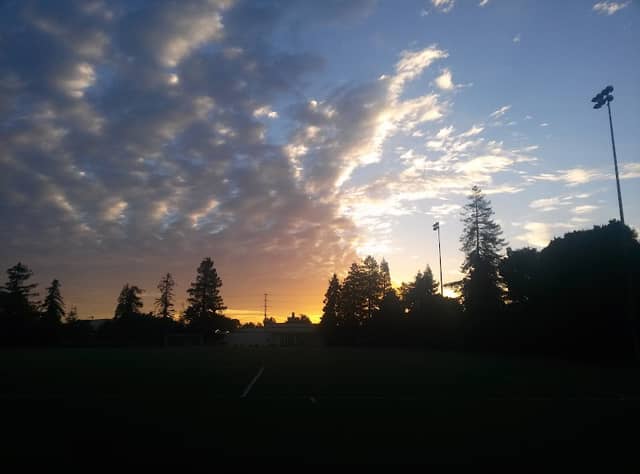 Kelly Park - Image 1