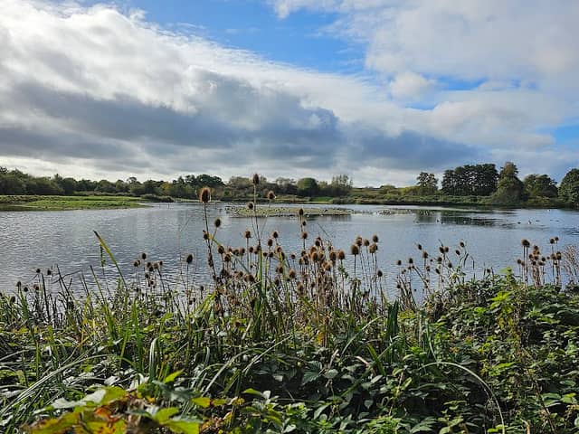 Wright Hide - Image 1