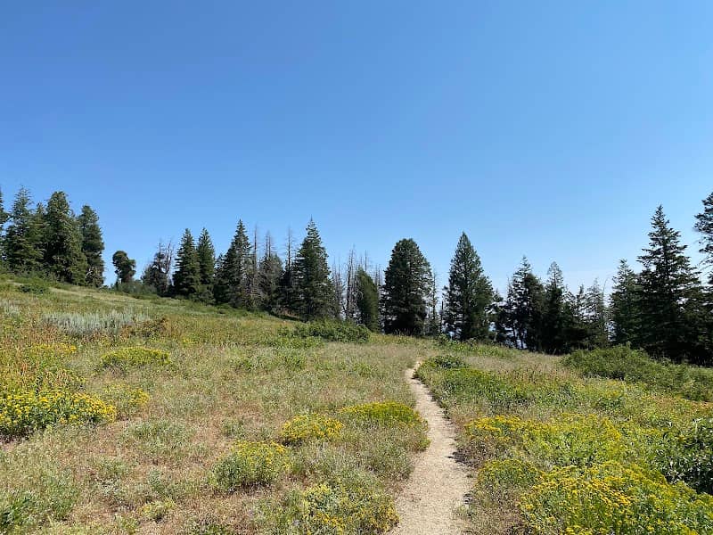 Mores Mountain Loop Trailhead - Image 2