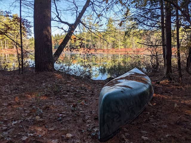 Talbot Taylor Wildlife Sanctuary - Image 2