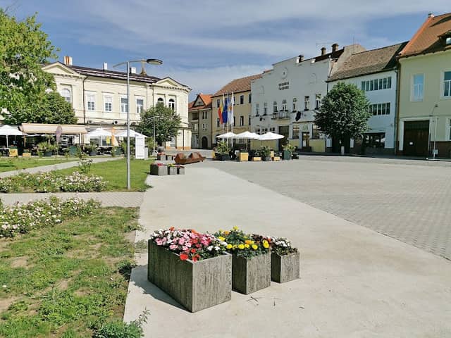 Parcul Central - Image 1