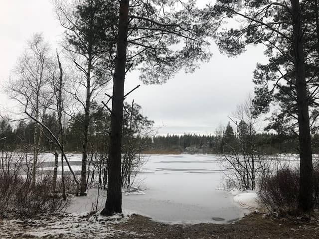 Kojtamellan strövområde - Image 1