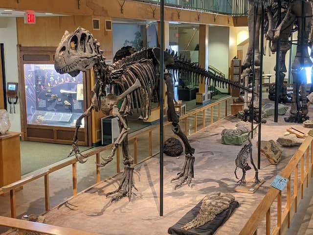 Geological Museum - Image 1