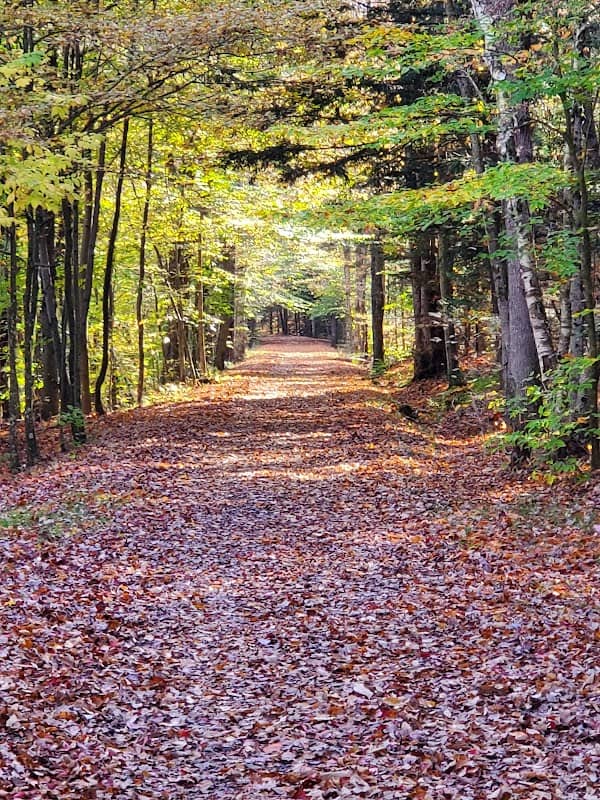 Huckleberry Trail - Image 1