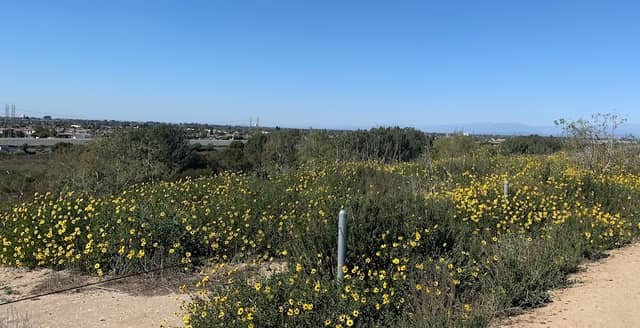 Wetland & Riparian Habitat - Image 1