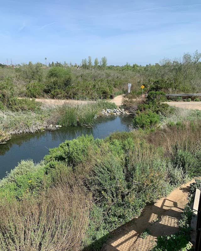 Wetland & Riparian Habitat - Image 2