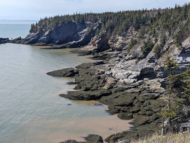 William's Trail - Image 1