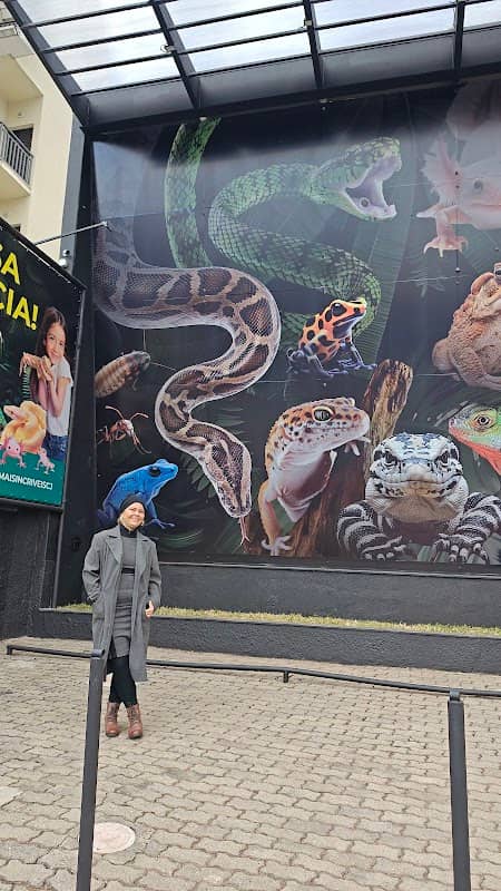 Animais extraordinários - Image 2