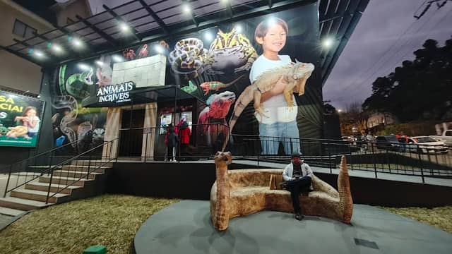 Animais extraordinários - Image 1