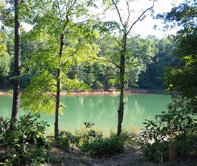 Calhoun Falls T-13 - Image 1