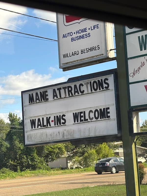 Mane Attractions - Image 1